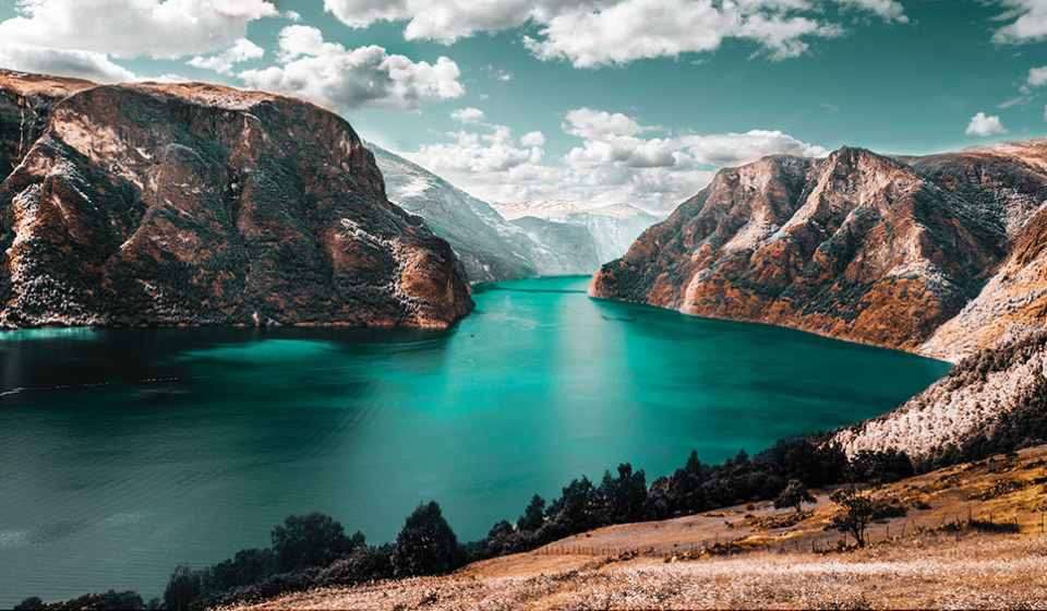mar-bustos-1352933-unsplash
